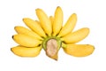 Ripe Pisang Mas banana isolated on white