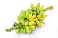 Ripe Pisang Mas banana or Musa :Kluai Khai, famous small golden