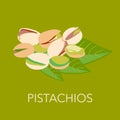 Ripe pistachios nuts with green leaves vector