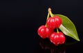 Ripe Pitanga fruit - Surinam cherry - Brazilian cherry - French cherry - Cayenne cherry - Florida cherry. Dark deep orange
