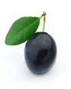 Ripe plum