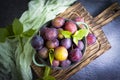 Ripe plum delicious old background fresh natural agriculture freshness