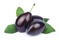 Ripe plum fruit Royalty Free Stock Photo