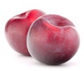 Ripe plum fruit Royalty Free Stock Photo