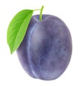 Ripe plum with green leaf. With clipping path Royalty Free Stock Photo