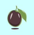 Ripe plum with green leaves on white vector illustration Royalty Free Stock Photo