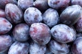 Ripe Plums or damson background