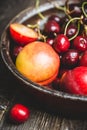 Ripe plums, nectarines and cherries in rustic pan Royalty Free Stock Photo