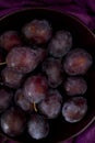 Ripe plums on a plate - dark purple composition Royalty Free Stock Photo
