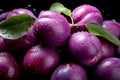 Ripe plums with water drops. Close-up. Juicy fruit In full screen. Many Ripe raw fruit