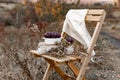 Ripe plums on a wooden stool in an autumn composition, juicy sweet fruits, seasonal dry grass around, an interesting landscape