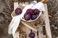 Ripe plums on a wooden stool in an autumn composition, juicy sweet fruits, seasonal dry grass around, an interesting landscape