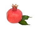 Ripe pomegranate Royalty Free Stock Photo