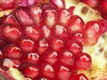 ripe pomegranate Royalty Free Stock Photo