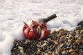 Ripe pomegranate fruit with bottle wine on the beach. Romantic day at the seaside Royalty Free Stock Photo