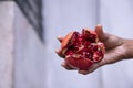 Ripe pomegranate fruit in the hands of a farmer Royalty Free Stock Photo