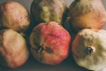 Ripe pomegranate fruits as background. Close up view of pomegranates background. Fresh fruit. Group of vintage pomegranates .