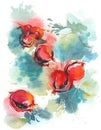 Ripe pomegranate tree watercolor background hand painted