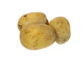ripe potato isolated on white background Royalty Free Stock Photo