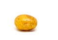 Ripe potato on white background. Brown and yellow vegetable isolate image.
