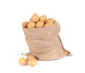 Ripe potatoes in burlap sack. Royalty Free Stock Photo