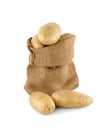 Ripe potatoes in burlap sack isolated on white background Royalty Free Stock Photo