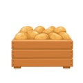 Ripe potatoes in wooden box