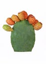 Ripe prickly pear fruit on green cactus Royalty Free Stock Photo