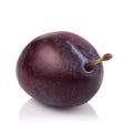 Ripe prune or plum isolated on a white background