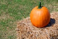 Ripe pumpkin Royalty Free Stock Photo