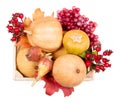 Ripe pumpkin and autumn berries in wooden box on white. Royalty Free Stock Photo