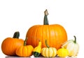 Ripe pumpkin fruits isolated Royalty Free Stock Photo