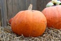 Ripe pumpkin on a haystack with blurred background.