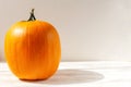 Ripe pumpkin on a light background