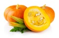 Ripe pumpkin vegetables with green levaes and blossom isolated