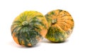 Ripe pumpkin on a white background