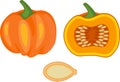 Ripe pumpkin, whole and in longitudinal section