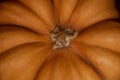 Ripe pumpkin on the windowsill. Closeup of ripe pumpkin petiole