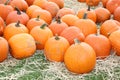 Ripe pumpkins Royalty Free Stock Photo