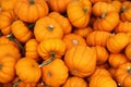 Ripe pumpkins