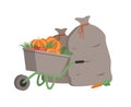 Wheelbarrow with Bags and Production Pumpkins