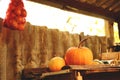 Ripe pumpkins on a shelf in the barn in the fall