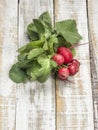 Ripe radish bunch on a wooden table Royalty Free Stock Photo