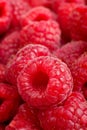 Ripe rasberry background. Close up macro shot of raspberries