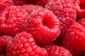 Ripe rasberry background. Close up macro shot of raspberries