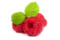 Ripe rasberry with green leaf isolated over white. Close up macro shot Royalty Free Stock Photo