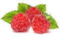 Ripe raspberries