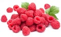 Ripe raspberries.