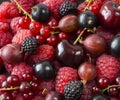 Ripe raspberries, blackcurrants, blackberries, cherries, red currants and red gooseberries. Mix berries and fruits. Top view. Royalty Free Stock Photo