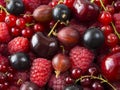 Ripe raspberries, blackcurrants, cherries, red currants and gooseberries. Mix berries and fruits. Top view. Background berries and Royalty Free Stock Photo